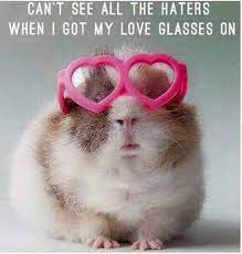 Why Do The Men I Like Disappear Or Dislike Me Why Do I Not Want The Men Who Want Me Funny Animal Pictures Funny Animals Funny