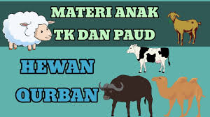 Bernostalgia masa kecil yang gemar mewarnai, pada postingan kali ini kami akan bagikan gambar untuk mewarnai anak berbagai tema, mulai dari pemandangan, hewan, bunga, rumah, dan. Materi Anak Tk Dan Paud Tema Islami Jenis Jenis Hewan Qurban Youtube