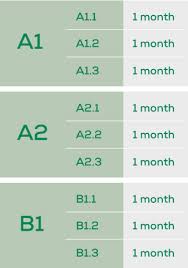 German Intensive Courses Sprachschule Schneider