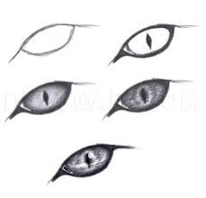 Drawing tutorial butterfly with artistro paint pens. 670 Draw Cats Ideas In 2021 Animal Drawings Cat Drawing Drawings