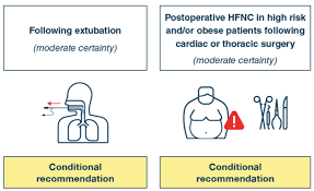 Image result for Moderate Flow Oxygen