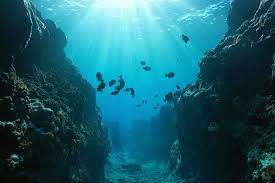 Underwater picture of pacific ocean. A Tale Of Two Submerged Continents Britannica