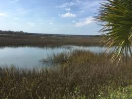 Hours may change under current circumstances Reclaimed Heart Pine Flooring Repair Refinishing St Augustine Fl