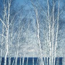 $15 per person / per night (including children 2 years and older). Campsites With Cabins In Duluth Minnesota Getaway Usa