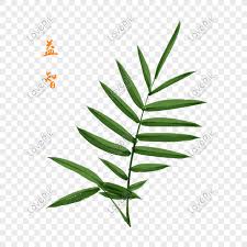La dedeman puteti alege oricare din cele 61 produse din categoria plante de apartament. Photo De Illustration De Puzzle De Plante De Dessin Anime Numero De L Image401400419 Format D Image Psd Fr Lovepik Com