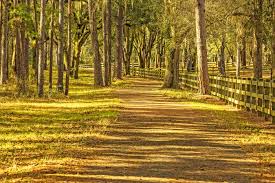 We train our mosquito exterminators in the most advanced mosquito control methods in tallahassee. Paul S Termite Pest Control