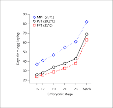 Rate Of Development Of Red Eared Slider Turtle Embryos At