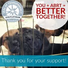 Join millions of people using oodle to find puppies for adoption, dog and puppy. All Breed Rescue Training Reviews And Ratings Colorado Springs Co Donate Volunteer Review Greatnonprofits