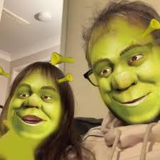 How to adjust steering settings in Farming Simulator?