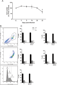 Cell wall is a very this process typically occurs as the final stage of cell division after mitosis and helps aid in chromosome number protection throughout cellular. Eimeria Bovis Infections Induce G1 Cell Cycle Arrest And A Senescence Like Phenotype In Endothelial Host Cells Parasitology Cambridge Core