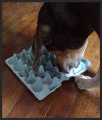 Make a list of objects. Diy Make Your Own Dog Puzzle Toy Modernpaws Pets Dog Games Puzzle Toys Look Animals