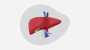 Terdapat banyak cara untuk merawat hepatitis yang boleh digunakan, bergantung pada jenis hepatitis yang anda miliki pada masa ini. Begini Cara Merawat Anggota Keluarga Yang Terkena Hepatitis