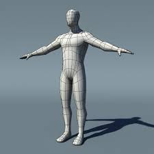 35 3d Max Meshes Models To Download In 2020 Human Base Human Male Human Muscle Anatomy
