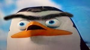 Maybe you would like to learn more about one of these? Create Meme Keyup Keyup Penguins Of Madagascar Penguin Pictures Meme Arsenal Com