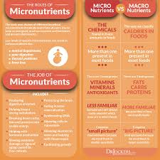 Micronutrients are another essential part of human nutrition and consist of vitamins and dietary minerals such as vitamin a, copper, iron, and iodine. What Are Micronutrients And How To Test Your Levels Drjockers Com