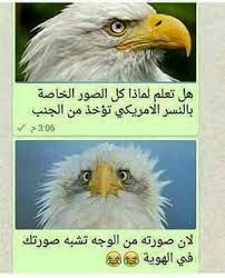 خلك ايجابي طلعت نسر fun quotes funny funny mom jokes funny picture jokes