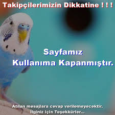 Muhabbet Kusu Bilgi Posts Facebook