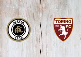 Sigue el partido de hoy en directo entre spezia vs torino de serie a 2020/2021. 6tax3dsmdffinm