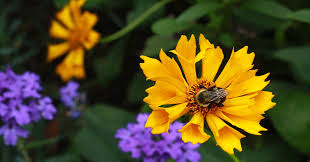 Profile for Skylah Photography