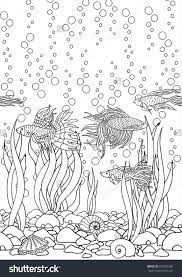 Pin On Sea Creature And Friends Sketches