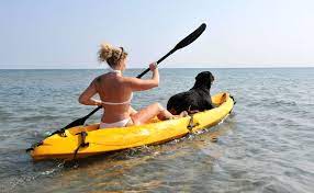 What type of kayak is best for kayaking with a dog? 5 Best Kayaks For Dogs 2021 Reviews
