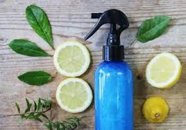 Recettes Spray Assainissant Fraicheur Sans Alcool Aroma Zone Alcool Spray Produit Menager Maison