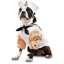 Sailor Dog Costume Pinned By Www Thedapple Com Design Dog Halloween Dog Bandana Dogs In Costumes Dog Costumes Funny Dog Halloween Costumes Dog Costumes