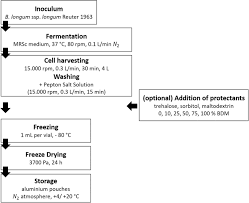 In this article we'll discuss other benefits of giving your kitty these unique cat treats, as well. Impact Of Cultivation Strategy Freeze Drying Process And Storage Conditions On Survival Membrane Integrity And Inactivation Kinetics Of Bifidobacterium Longum Springerlink