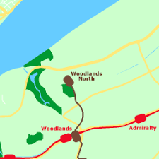 Ex 6.3,1 (i) state which pairs of triangles in figure are similar. Proofs Answer Key
