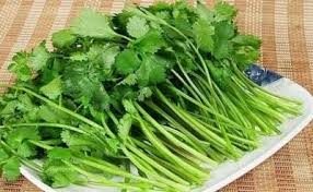 Nước rau mùi đun sôi, uống trong 3 ngày, có tác dụng thần kỳ, rất dễ sử dụng