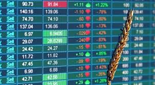 Sa floarea soarelui foloseste cele mai moderne si clasice tehnologi din industria. PreÅ£ul Cerealelor Si Al Oleaginoaselor Au Inceput SÄƒ ScadÄƒ