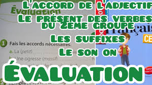 Document présentant homo habilis et homo erectus. Perception Definition Philosophique