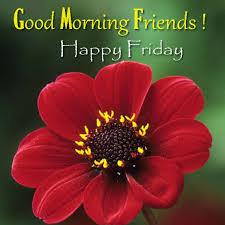 Morning coffee good morning wishes quotes morning memes. Friday Means The Good Morning Quotes Images Wishes Facebook