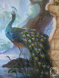 Pohozhee Izobrazhenie Peacock Art Peacock Artwork Peacock Images