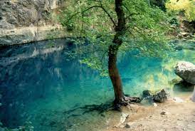 Check spelling or type a new query. Die Quelle Des Flusschens Sorgue In Fontaine De Vaucluse Landschaftsfotos Eu