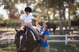 Horse insurance is often branded or paired with livestock insurance. Why Do Riding Instructors Need Insurance Lingfield Correspondence