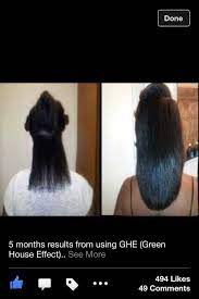 This in return assists with the penetrating of the hair cuticle. 5 Months Of Green House Effect Ghe Natural Hair Styles Hair Care Hair Growth Tips