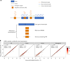 Transposable Element Expression In Tumors Is Associated With