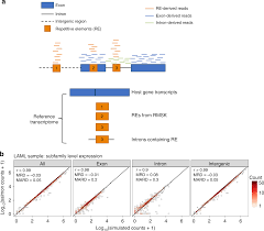 transposable element expression in tumors is associated with