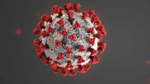 Check spelling or type a new query. Bilim Kurulu Toplantisi Bugun Gozler Koca Nin Aciklamalarinda Saglik Son Dakika Haberler