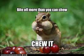 We did not find results for: Courage Chipmunk Animal Comedy Animal Comedy Funny Animals Animal Gifs