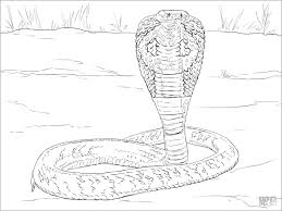 Are you one of the many who simply adores these hissing creatures? Indian Cobra Coloring Page Coloringbay
