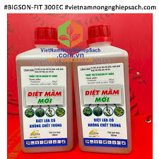 Bigson-fit 300EC