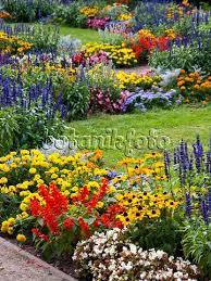 Image Cone Flowers Rudbeckia Sages Salvia And Begonias Begonia 428339 Images And V Beautiful Flowers Garden Cottage Garden Borders Beautiful Gardens