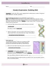 Student exploration building dna gizmo answer key an answering provider, unlike an automatic answering machine along with a recorded message, will present your potential consumers cell phone responses. Lab 12 2 Docx Name Date Student Exploration Building Dna Vocabulary Double Helix Dna Enzyme Lagging Strand Leading Strand Mutation Nitrogenous Base Course Hero
