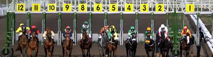 how to bet on horse racing a beginners guide