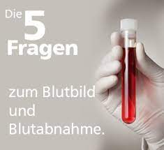 Wie Nimmt Man Richtig Blut Ab