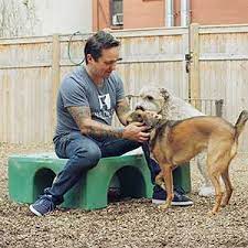 We did not find results for: Instinct Services Dog Board Train Camp Coaching