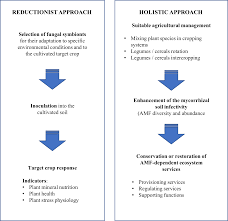 Image result for Infectivity