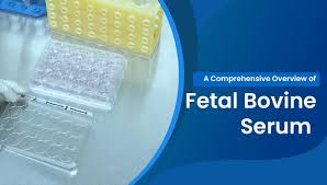 Simple And Effective Serum-Free Medium For Sustained Expansion Of Bovine  Satellite Cells For Cell Cultured Meat | Communications Biology
